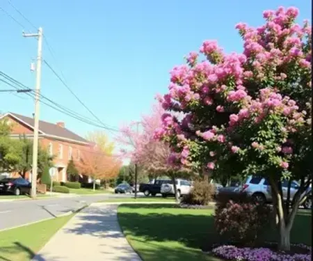 Paulista: bairro de Paratibe recebe ação do Outubro Rosa com mamografias gratuitas