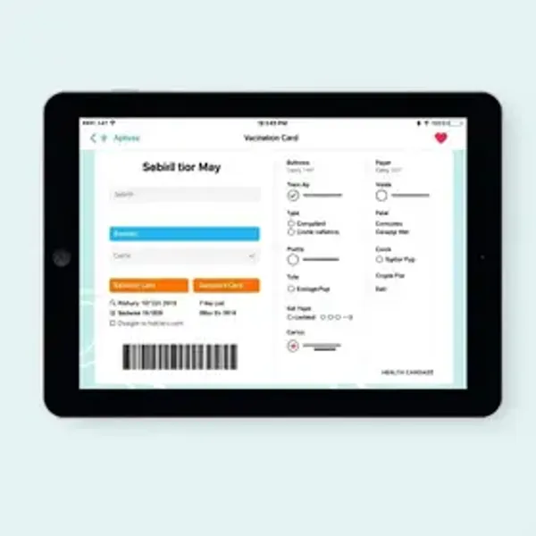 Carteira digital de vacinação não substitui caderneta em papel